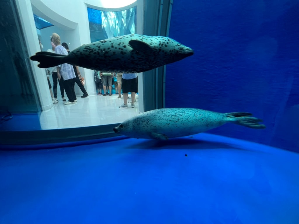 桃園青埔一日遊|GLORIA OUTLETS美華泰名品城|X-Park水族館|IKEA青埔店|新光影城|桃園青埔好吃、好玩 、 好好買 - 第40張圖
