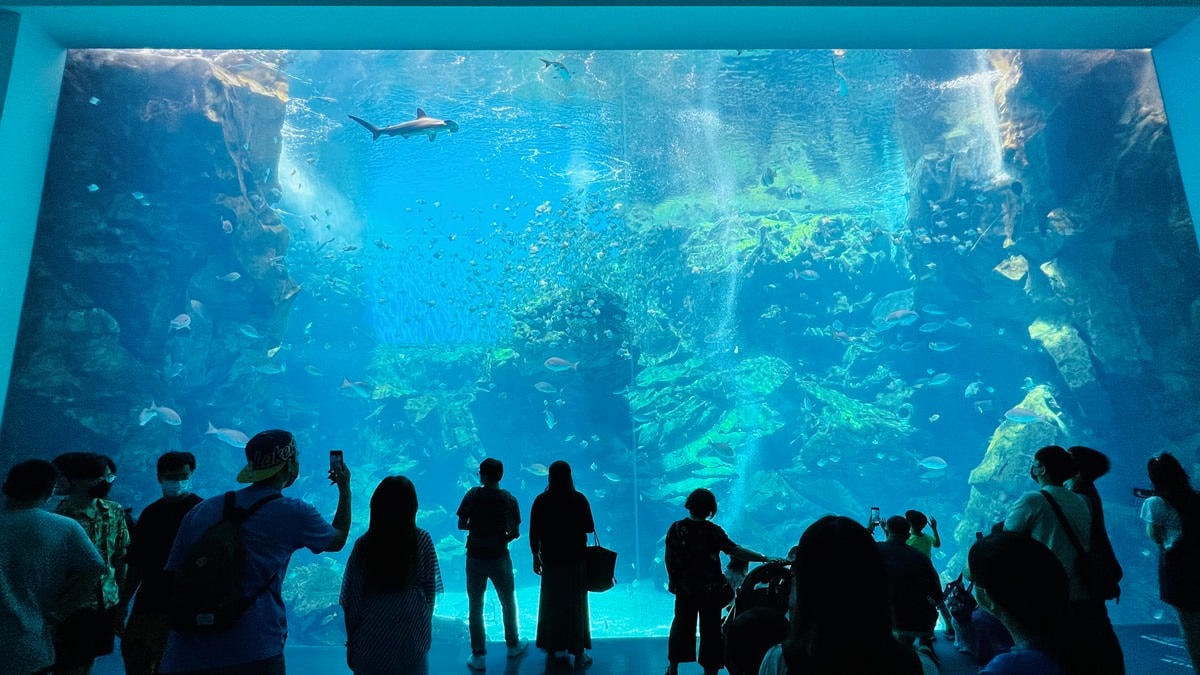 桃園青埔一日遊|GLORIA OUTLETS美華泰名品城|X-Park水族館|IKEA青埔店|新光影城|桃園青埔好吃、好玩 、 好好買 - 第28張圖