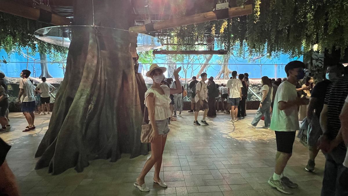 桃園青埔一日遊|GLORIA OUTLETS美華泰名品城|X-Park水族館|IKEA青埔店|新光影城|桃園青埔好吃、好玩 、 好好買 - 第36張圖