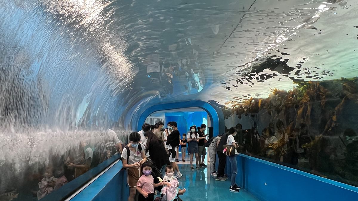 桃園青埔一日遊|GLORIA OUTLETS美華泰名品城|X-Park水族館|IKEA青埔店|新光影城|桃園青埔好吃、好玩 、 好好買 - 第41張圖