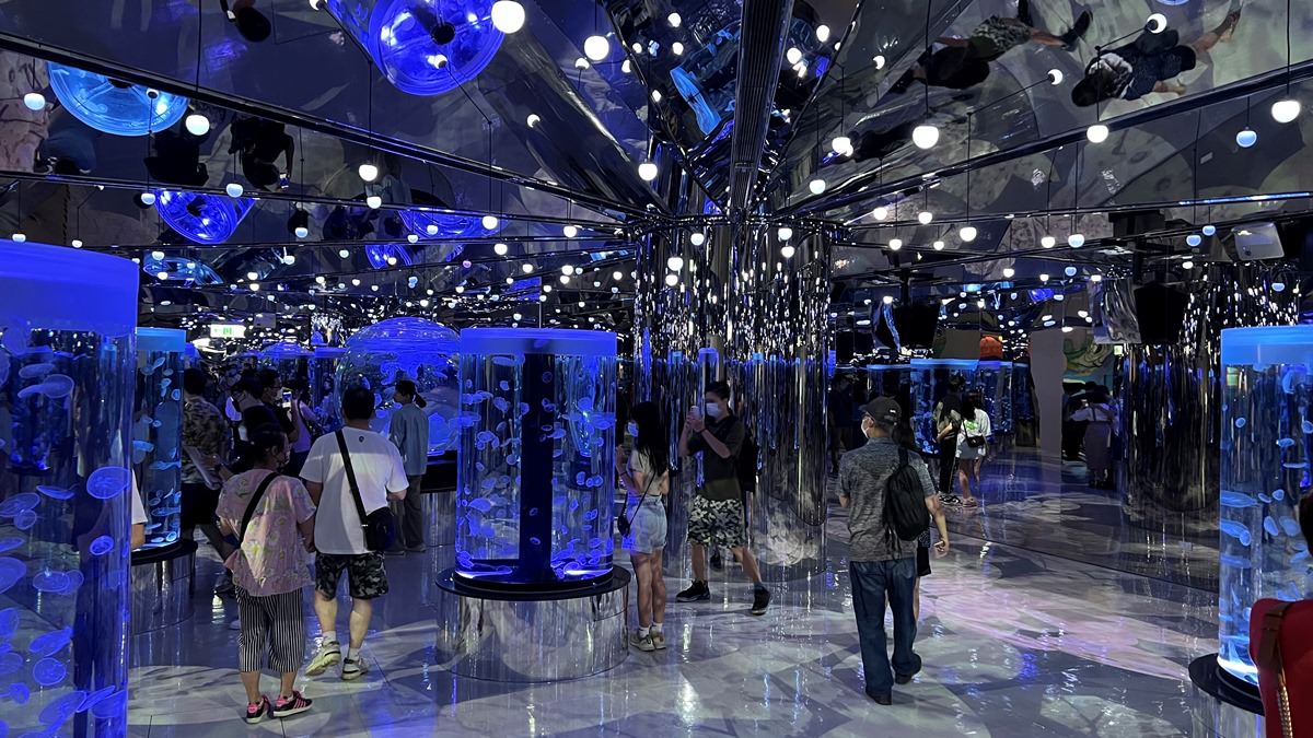 桃園青埔一日遊|GLORIA OUTLETS美華泰名品城|X-Park水族館|IKEA青埔店|新光影城|桃園青埔好吃、好玩 、 好好買 - 第46張圖