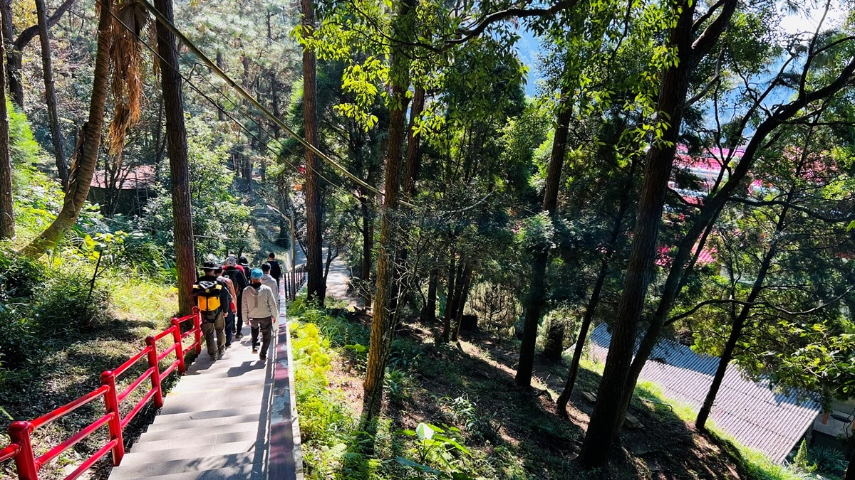 苗栗獅潭|仙山靈洞宮|短短路程體驗原始森林路、樹根攀爬、裸岩、峭壁拉繩的精采高cp值路線 - 第23張圖