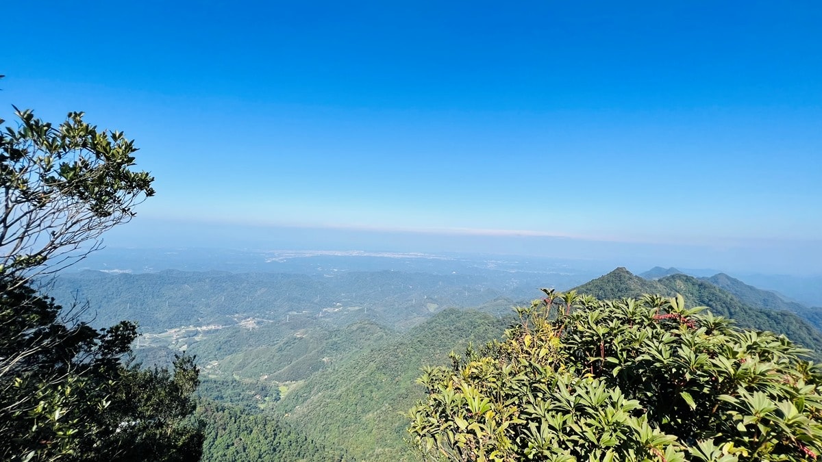 苗栗獅潭|仙山靈洞宮|短短路程體驗原始森林路、樹根攀爬、裸岩、峭壁拉繩的精采高cp值路線 - 第15張圖
