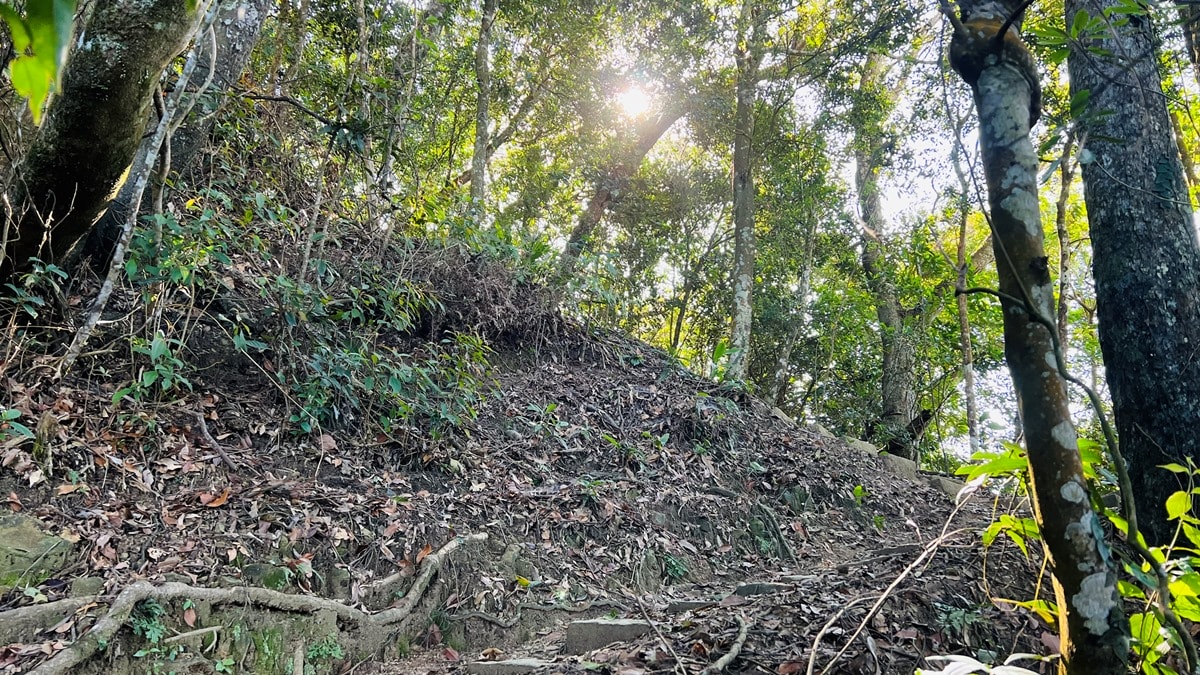 苗栗獅潭|仙山靈洞宮|短短路程體驗原始森林路、樹根攀爬、裸岩、峭壁拉繩的精采高cp值路線 - 第7張圖