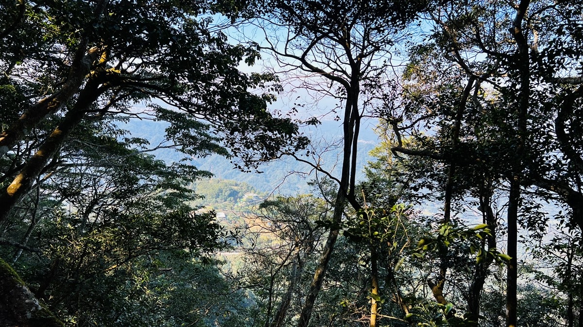 苗栗獅潭|仙山靈洞宮|短短路程體驗原始森林路、樹根攀爬、裸岩、峭壁拉繩的精采高cp值路線 - 第8張圖