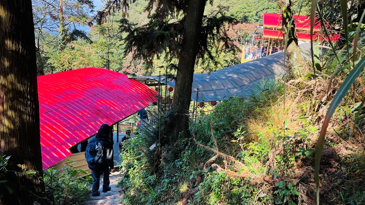 苗栗獅潭|仙山靈洞宮|短短路程體驗原始森林路、樹根攀爬、裸岩、峭壁拉繩的精采高cp值路線 - 第20張圖