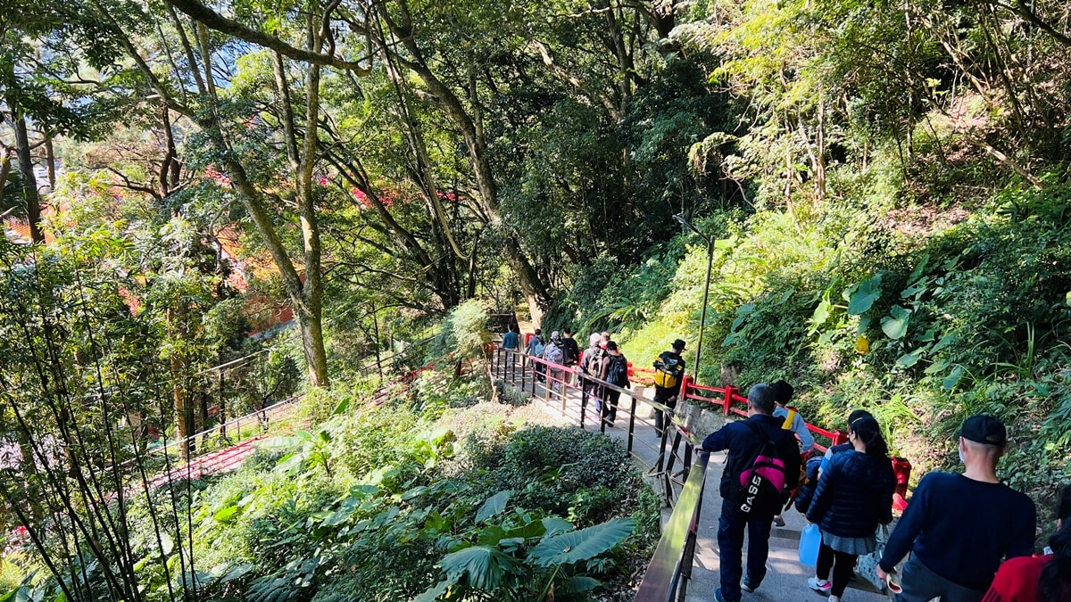 苗栗獅潭|仙山靈洞宮|短短路程體驗原始森林路、樹根攀爬、裸岩、峭壁拉繩的精采高cp值路線 - 第22張圖