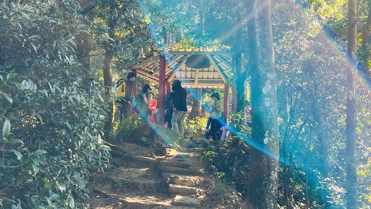 苗栗獅潭|仙山靈洞宮|短短路程體驗原始森林路、樹根攀爬、裸岩、峭壁拉繩的精采高cp值路線 - 第10張圖
