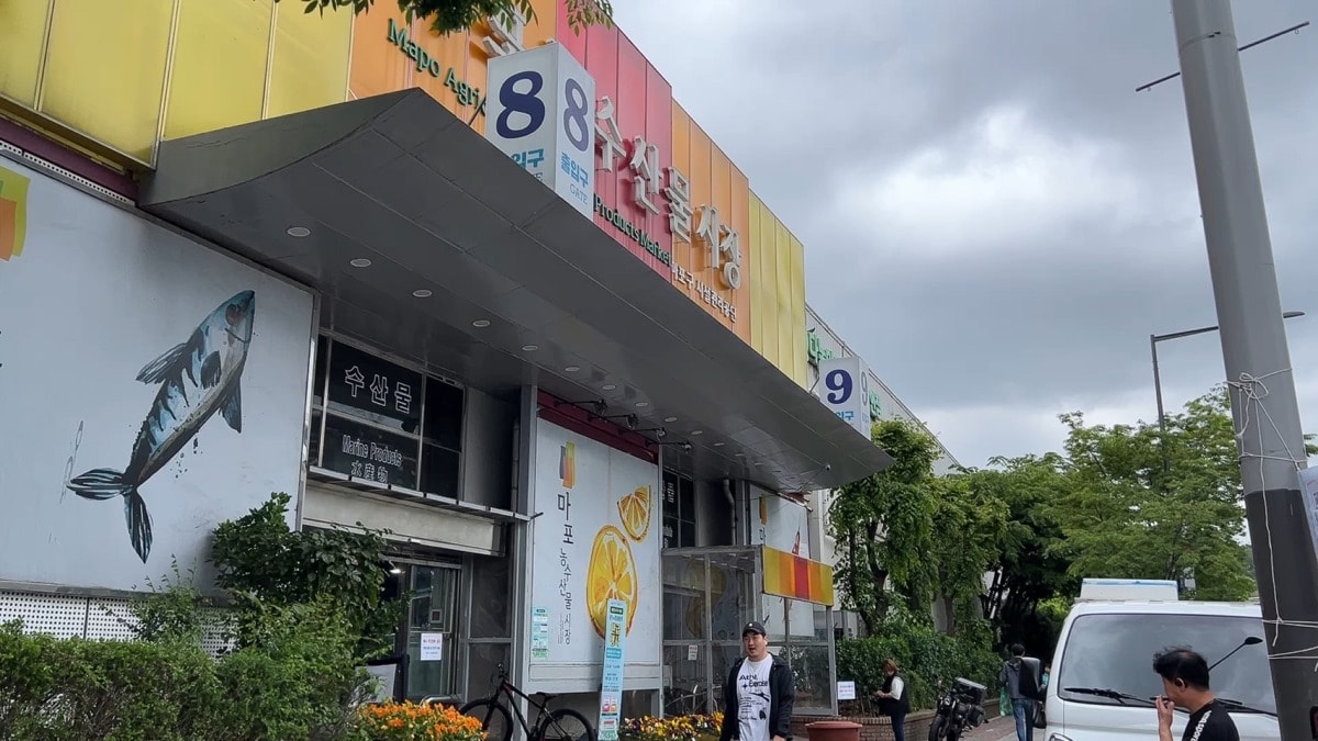 首爾麻浦農水物產市場마포농수산물시장|除了鷺梁津還有這間在地人的水產海鮮批發市場|新鮮現撈~只要台幣2千多就能爽嗑整隻帝王蟹 - 第2張圖