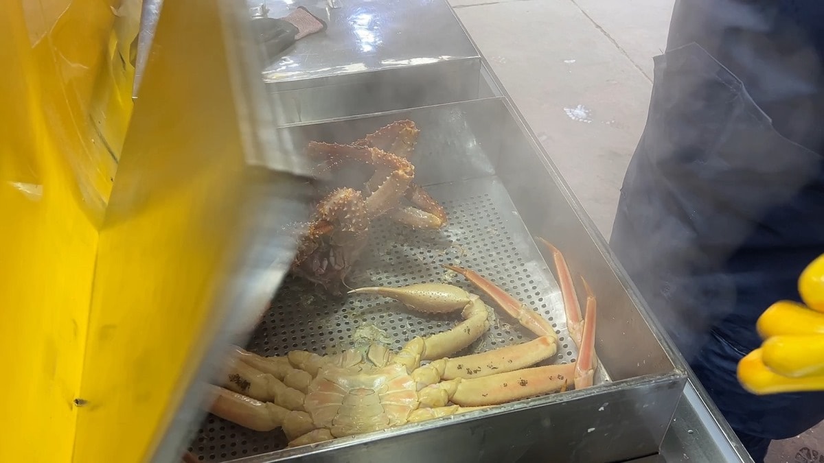 首爾麻浦農水物產市場마포농수산물시장|除了鷺梁津還有這間在地人的水產海鮮批發市場|新鮮現撈~只要台幣2千多就能爽嗑整隻帝王蟹 - 第16張圖