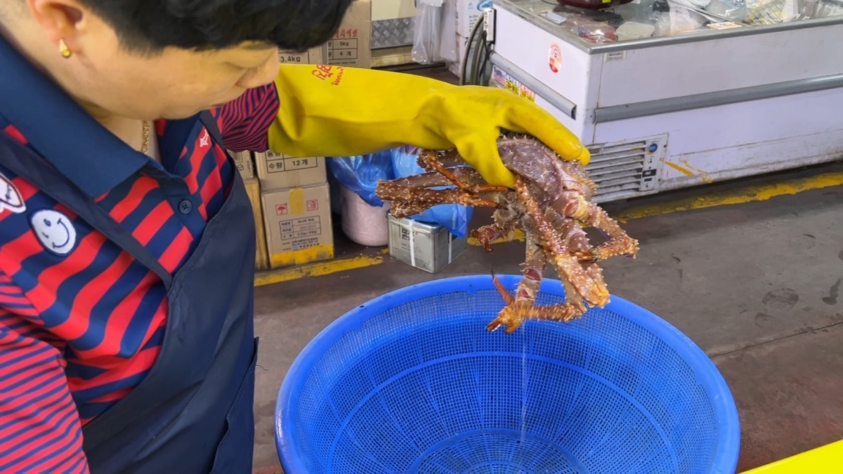 首爾麻浦農水物產市場마포농수산물시장|除了鷺梁津還有這間在地人的水產海鮮批發市場|新鮮現撈~只要台幣2千多就能爽嗑整隻帝王蟹 - 第15張圖