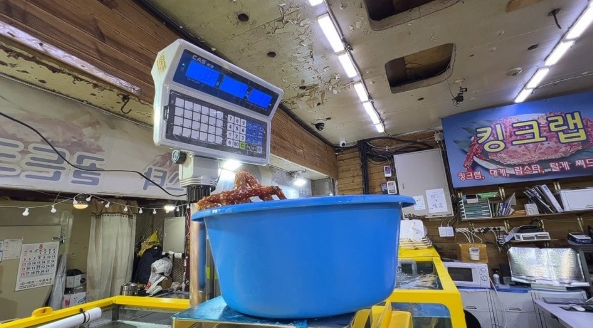首爾麻浦農水物產市場마포농수산물시장|除了鷺梁津還有這間在地人的水產海鮮批發市場|新鮮現撈~只要台幣2千多就能爽嗑整隻帝王蟹 - 第13張圖