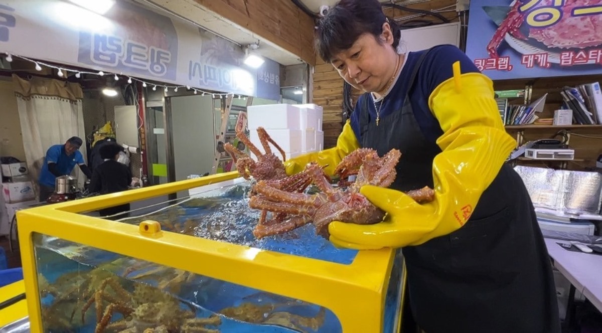 首爾麻浦農水物產市場마포농수산물시장|除了鷺梁津還有這間在地人的水產海鮮批發市場|新鮮現撈~只要台幣2千多就能爽嗑整隻帝王蟹 - 第12張圖