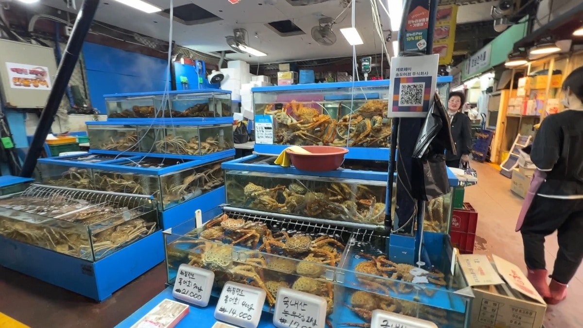 首爾麻浦農水物產市場마포농수산물시장|除了鷺梁津還有這間在地人的水產海鮮批發市場|新鮮現撈~只要台幣2千多就能爽嗑整隻帝王蟹 - 第4張圖