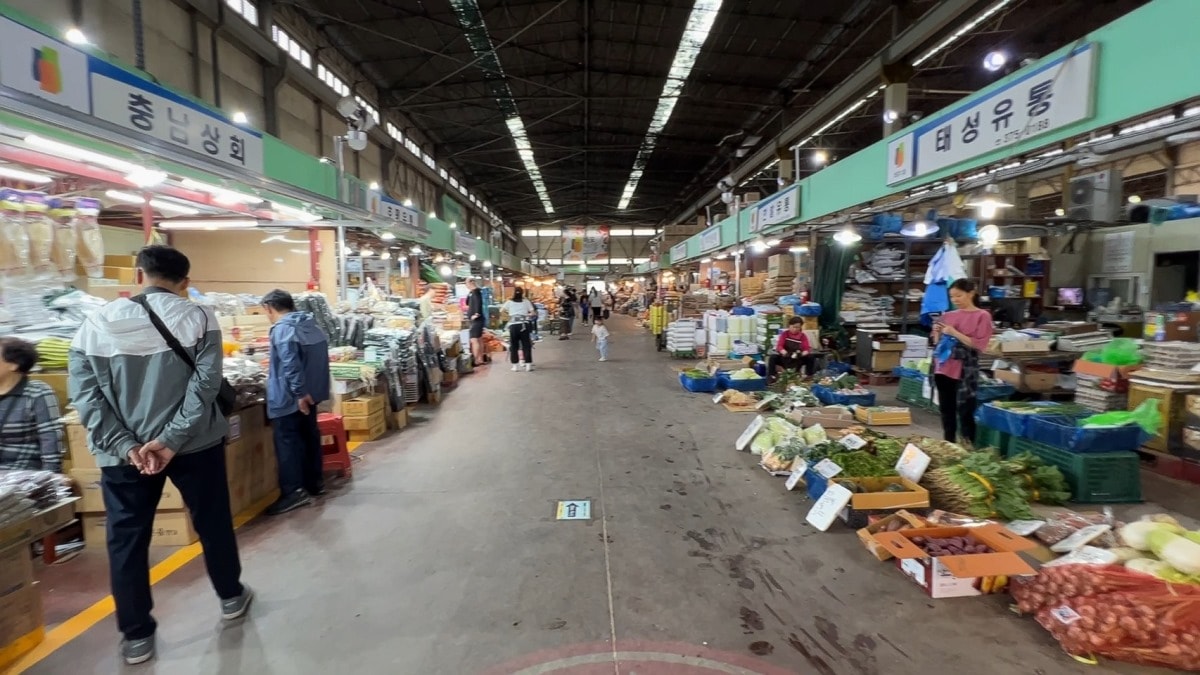 首爾麻浦農水物產市場마포농수산물시장|除了鷺梁津還有這間在地人的水產海鮮批發市場|新鮮現撈~只要台幣2千多就能爽嗑整隻帝王蟹 - 第31張圖