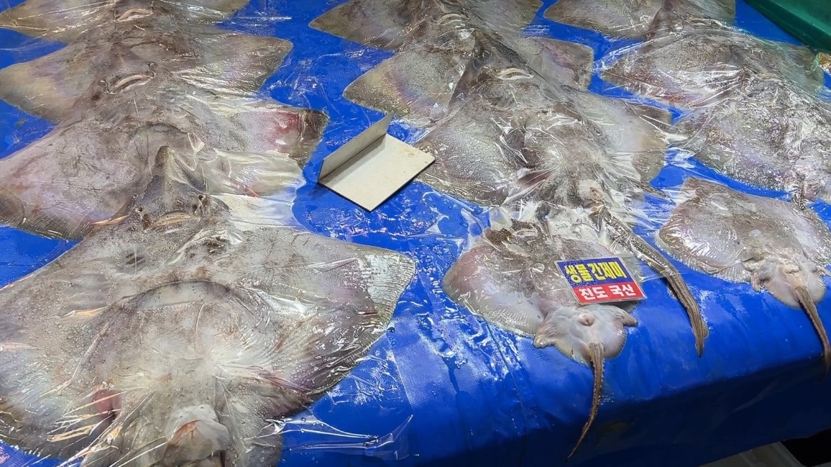 首爾麻浦農水物產市場마포농수산물시장|除了鷺梁津還有這間在地人的水產海鮮批發市場|新鮮現撈~只要台幣2千多就能爽嗑整隻帝王蟹 - 第8張圖