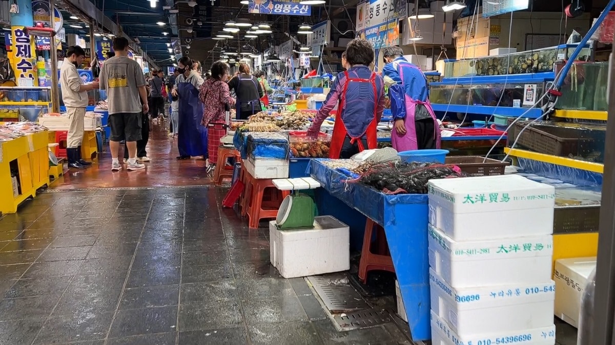 首爾麻浦農水物產市場마포농수산물시장|除了鷺梁津還有這間在地人的水產海鮮批發市場|新鮮現撈~只要台幣2千多就能爽嗑整隻帝王蟹 - 第3張圖