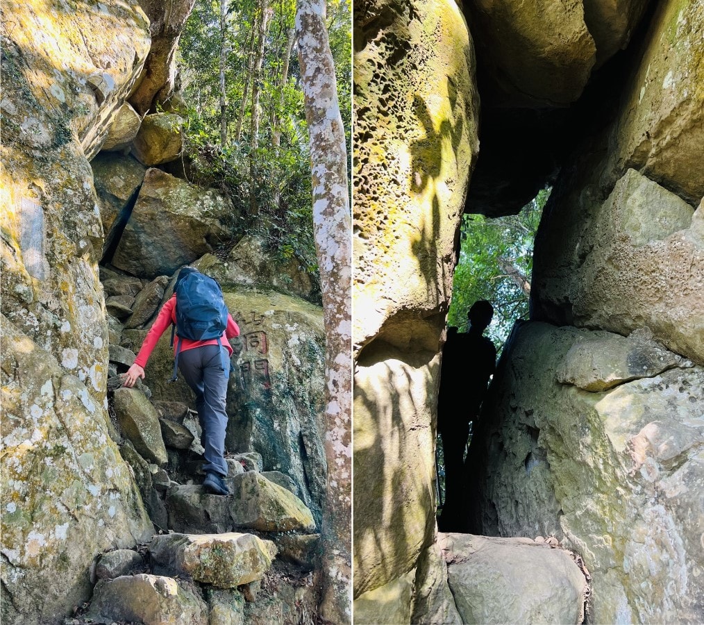 苗栗獅潭|仙山靈洞宮|短短路程體驗原始森林路、樹根攀爬、裸岩、峭壁拉繩的精采高cp值路線 - 第9張圖