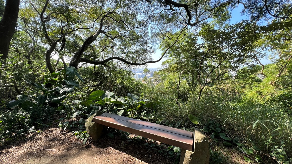 桃園南崁山|樹蔭下輕鬆舒適、親子路線|五酒桶步道山徑上~輕鬆、不流汗、不曬太陽就能走到的網美打卡點 - 第9張圖
