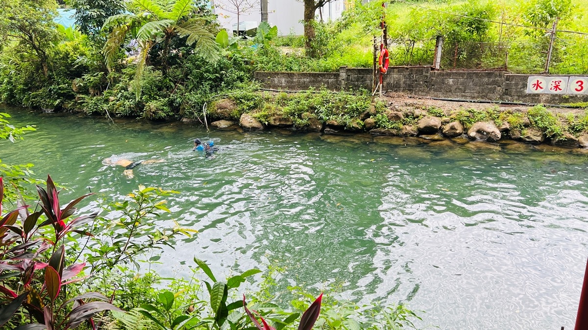 柯子林天然游泳池|汐止消暑秘境|3分鐘抵達天然野溪親子、寵物免費玩 - 第13張圖