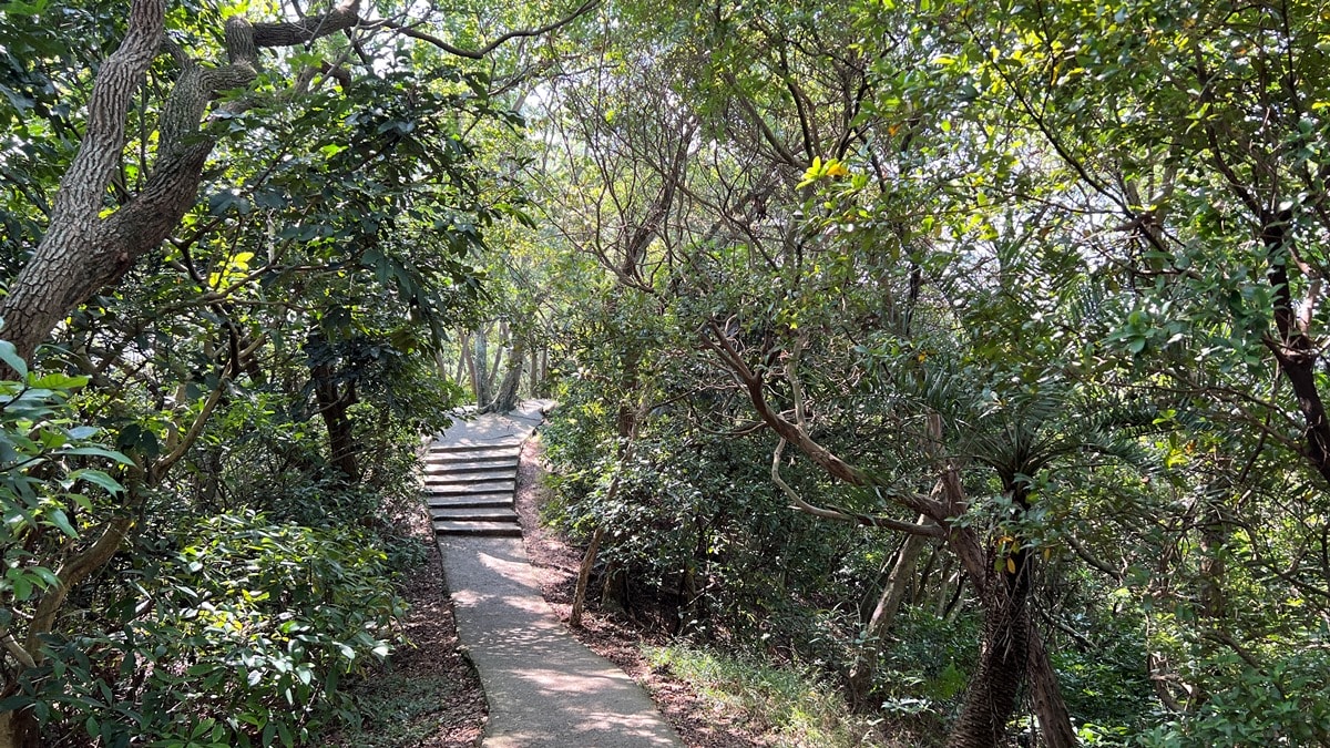 桃園南崁山|樹蔭下輕鬆舒適、親子路線|五酒桶步道山徑上~輕鬆、不流汗、不曬太陽就能走到的網美打卡點 - 第4張圖