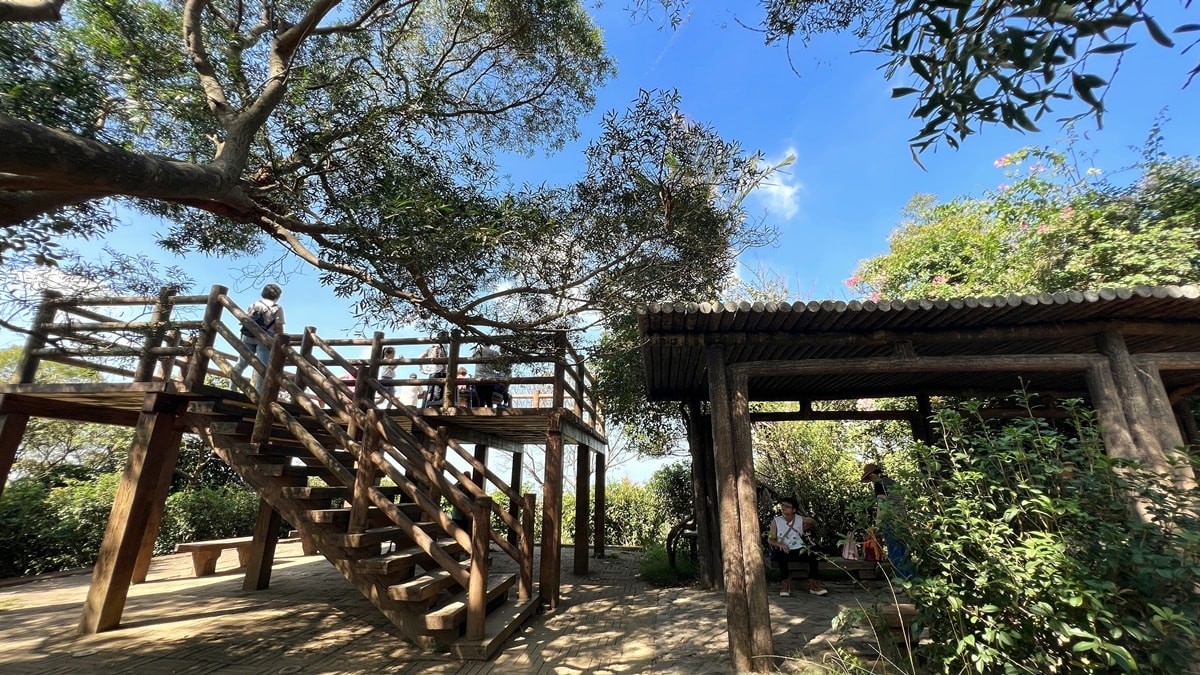 桃園南崁山|樹蔭下輕鬆舒適、親子路線|五酒桶步道山徑上~輕鬆、不流汗、不曬太陽就能走到的網美打卡點 - 第13張圖