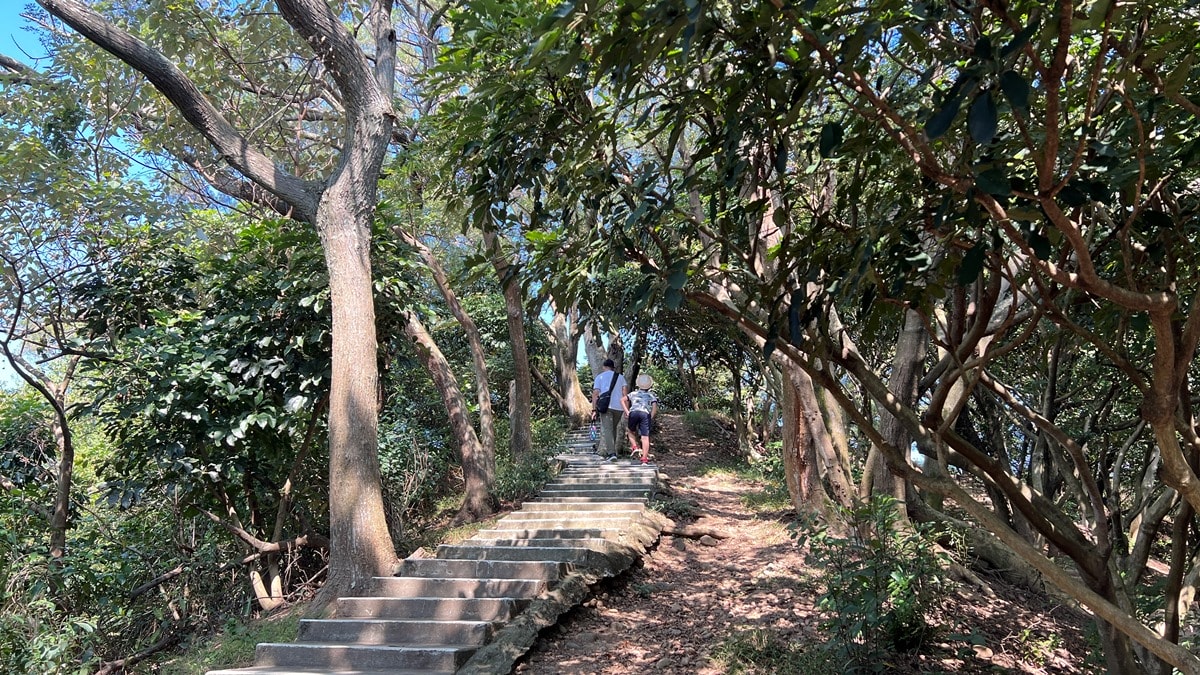 桃園南崁山|樹蔭下輕鬆舒適、親子路線|五酒桶步道山徑上~輕鬆、不流汗、不曬太陽就能走到的網美打卡點 - 第8張圖