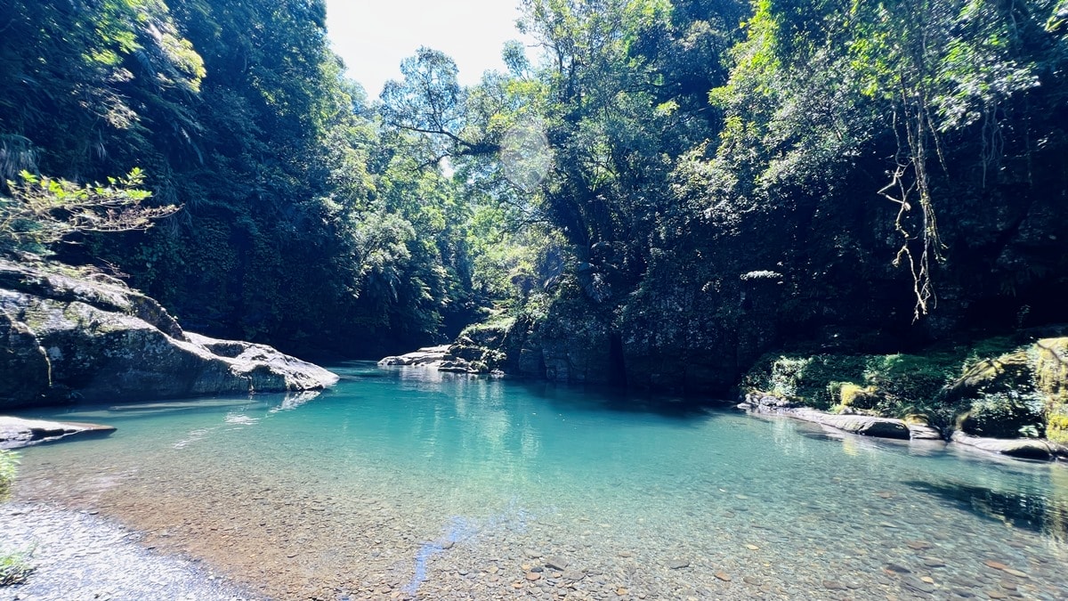 卡拉莫基步道|台北亞馬遜森林|烏來深山秘境與世隔絕的靜謐感~ - 第14張圖