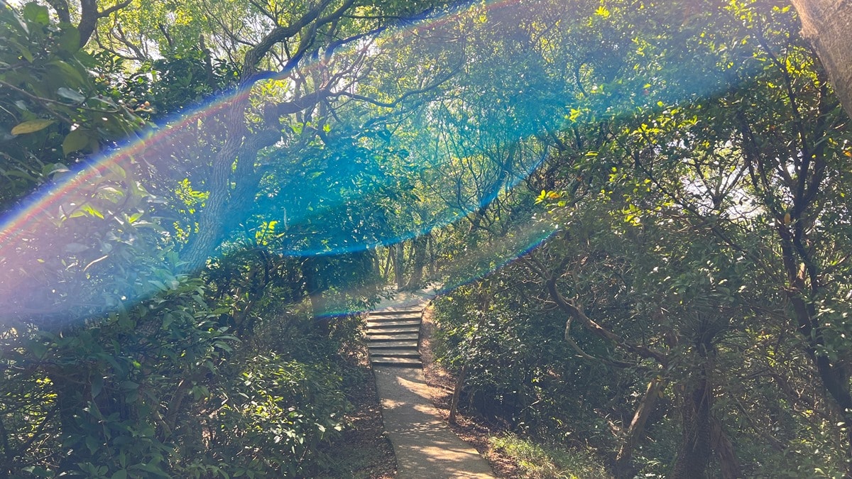 桃園南崁山|樹蔭下輕鬆舒適、親子路線|五酒桶步道山徑上~輕鬆、不流汗、不曬太陽就能走到的網美打卡點 - 第5張圖
