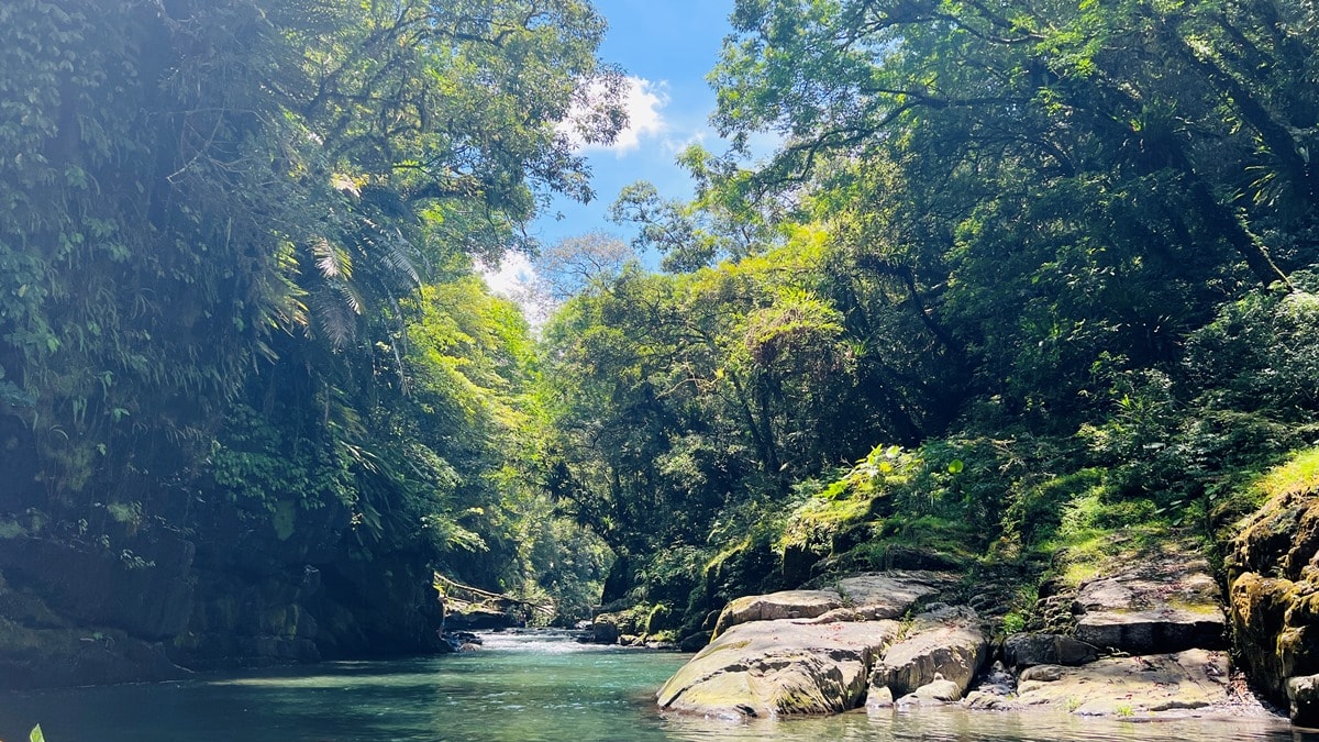 卡拉莫基步道|台北亞馬遜森林|烏來深山秘境與世隔絕的靜謐感~ - 第15張圖