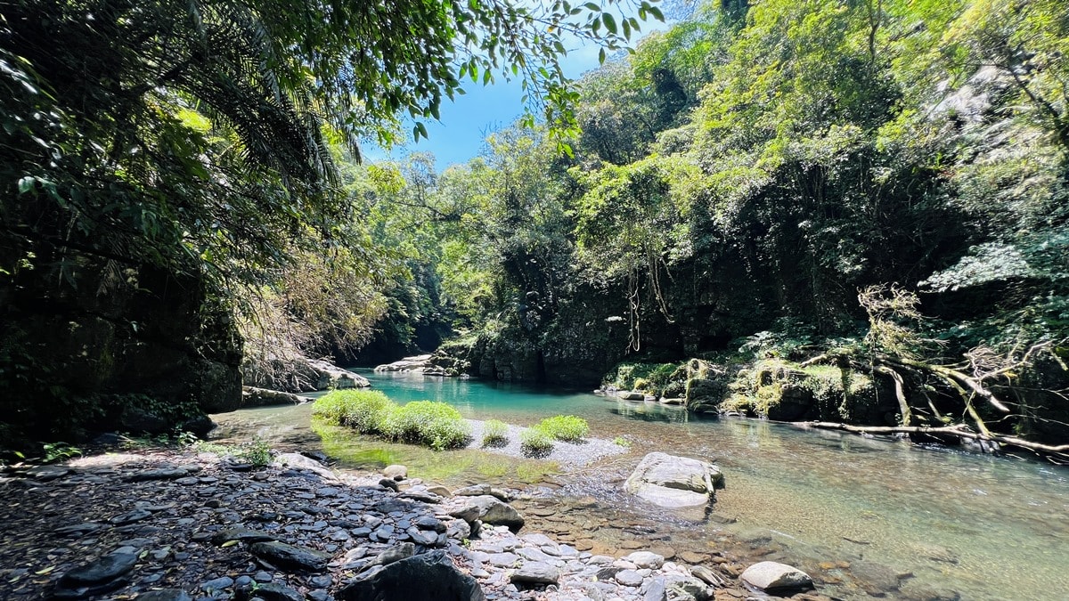 卡拉莫基步道|台北亞馬遜森林|烏來深山秘境與世隔絕的靜謐感~ - 第13張圖