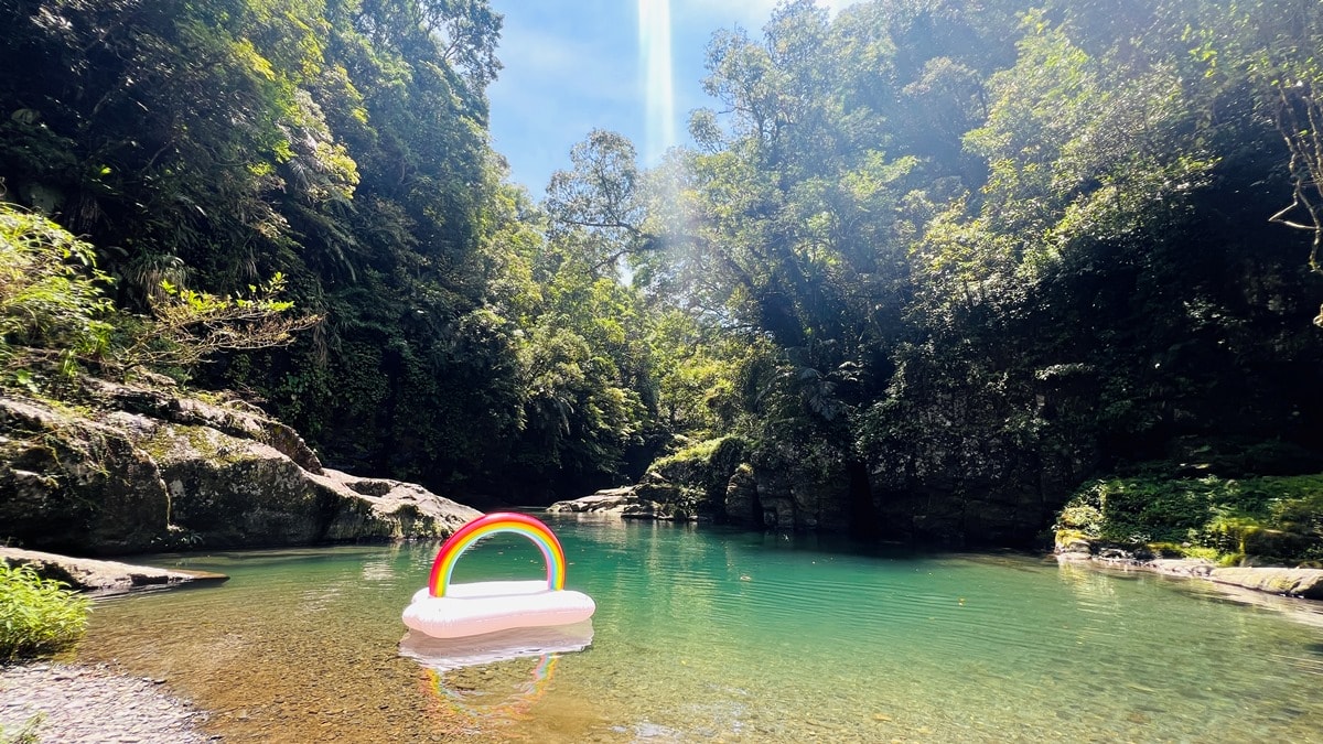 卡拉莫基步道|台北亞馬遜森林|烏來深山秘境與世隔絕的靜謐感~ - 第16張圖