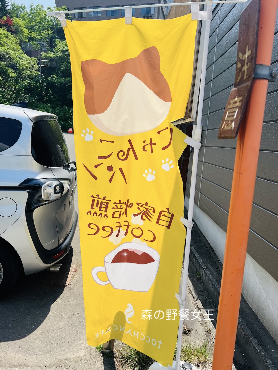 定山溪咖啡館|tocchancafeトッチャンカフェ|限定8人的貓咪主題咖啡館 - 第4張圖