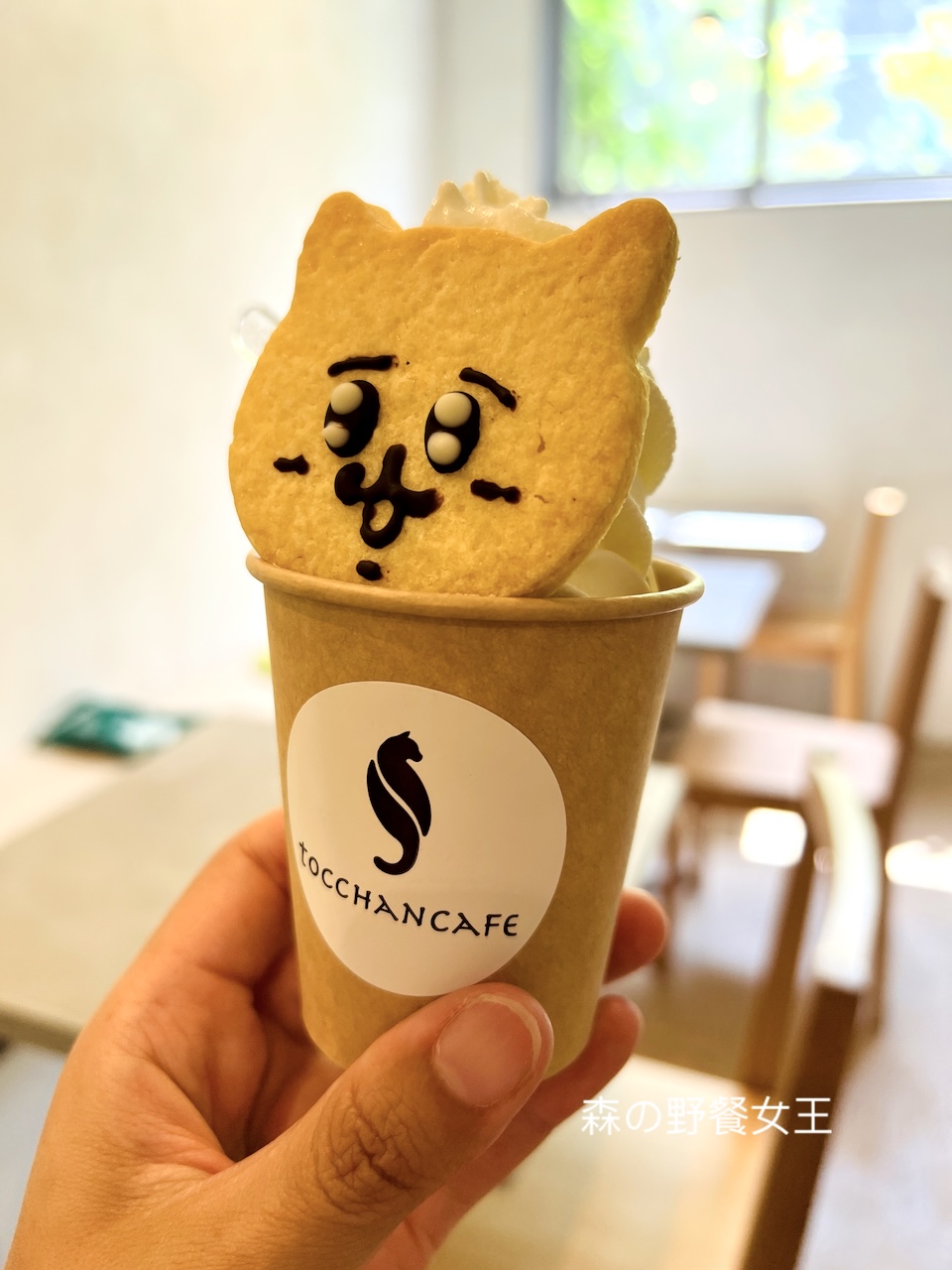 定山溪咖啡館|tocchancafeトッチャンカフェ|限定8人的貓咪主題咖啡館 - 第15張圖