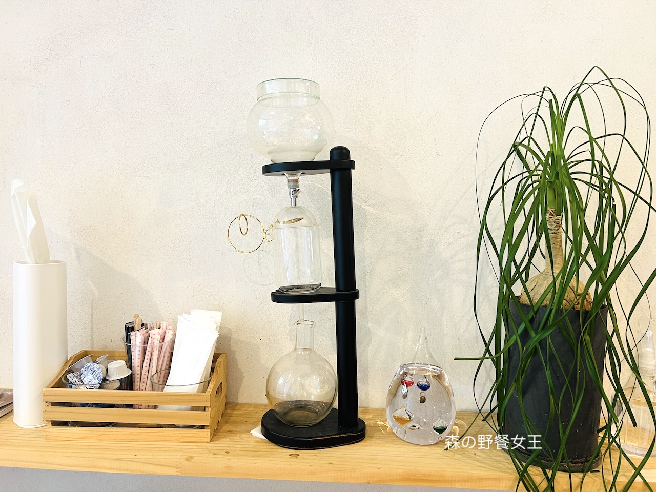定山溪咖啡館|tocchancafeトッチャンカフェ|限定8人的貓咪主題咖啡館 - 第7張圖