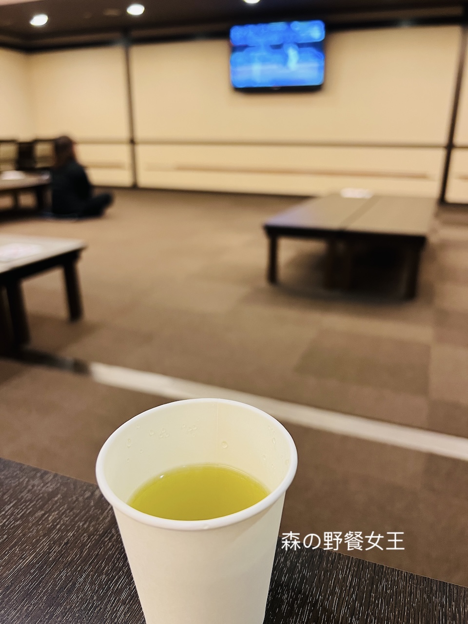 單車環北海道D1|新千歲機場航廈站飯店|エアターミナルホテル|Air Terminal Hotel|免費泡湯~新千歲溫泉| - 第26張圖