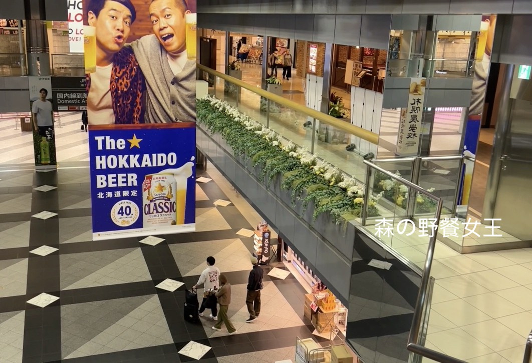 單車環北海道D1|新千歲機場航廈站飯店|エアターミナルホテル|Air Terminal Hotel|免費泡湯~新千歲溫泉| - 第12張圖